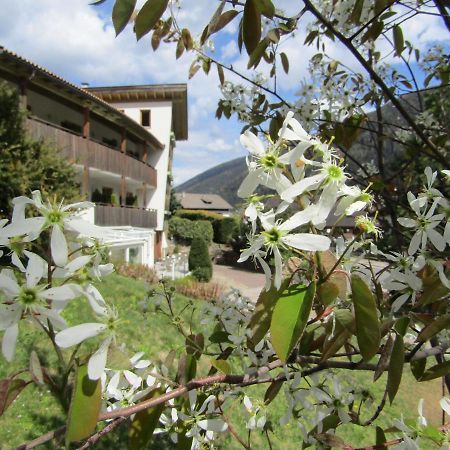 Natur Pur Hotel Unterpichl อุลติโม ภายนอก รูปภาพ